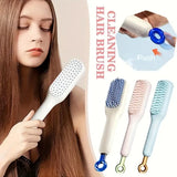 Self-Cleaning Hair Brush & Telescopic Comb (Random Color)